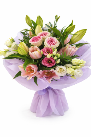 Нежна Елегантност II