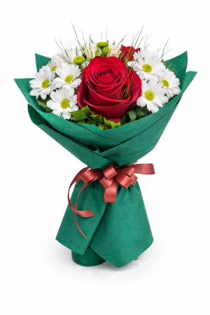 Червен Акцент