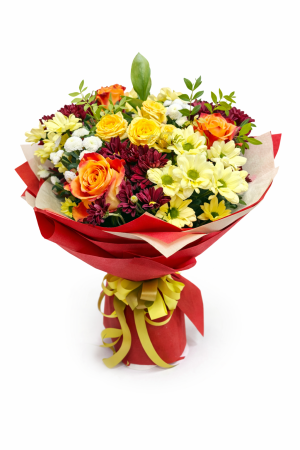 Слънчева Хармония