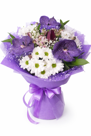 Виолетов Лукс