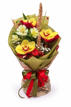 Златна Елегантност