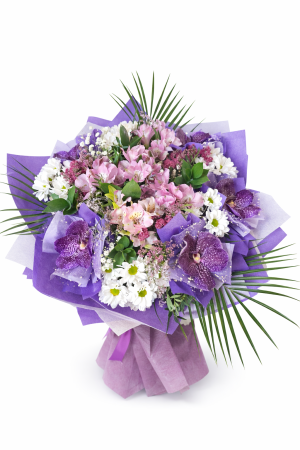 Лилава Аристокрация