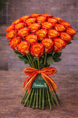 31 Рози Каталония“ – Огнена елегантност