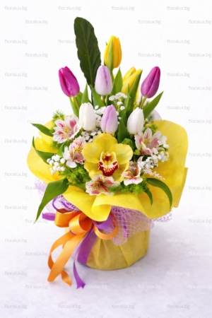 Пролетна хармония