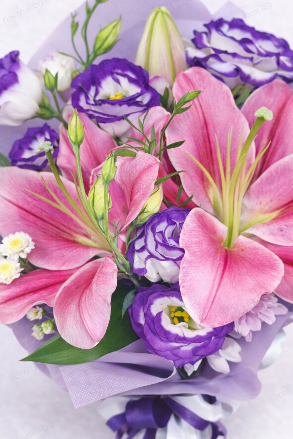 Лилиум Рая - Image 3